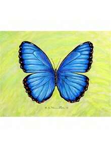 Betsy Drake DM348 Dicks Blue Morpho Door Mat, Small - Nhiều màu - Xem 2