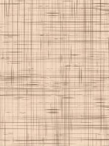 Tricoline Poá Per Meter Printed 100% Cotton - 1.5m Wide - Textured Beige - View 2