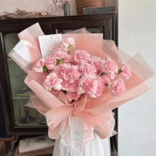 20 piezas Papel de vidrio de colores, papel transparente de OPP inoloro impermeable, papel de cristal de fantasía dulce, materiales de embalaje florales, papel de envoltura de flores frescas, adecuado para el embalaje de flores frescas, manualidades, Nochebuena, embalaje de rosas, Día del Padre, Día de la Madre, San Valentín, boda, aniversario, Navidad, Halloween, Acción de Gracias, temporada de graduación, envoltura de regalos - Multicolor - Ver 10