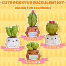 Crochet Kit | Crochet Kit For Beginners | Emotional Support Succulent Crochet Knitting Kit With Step By Step Video Lessons | 4 PC Succulent Crochet Kit With Crochet Accessories(40%+ Yarn)