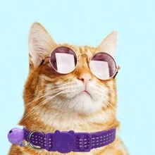 Personalized Solid Color Nylon Cat Collar - Adjustable Fitting With Quick-Release Buckle And Jingle Bell - Custom Pet ID Tag Pendant Accessory - Multicolor - View 4