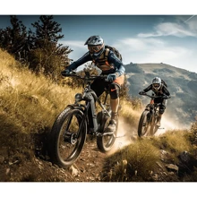 Bicicleta eléctrica DUOTTS F26, motor dual de 750 W*2, batería extraíble de 48 V 17,5 Ah, alcance de 50 km, neumático grueso 26x4.0, transmisión Shimano de 7 velocidades, velocidad máxima de 55 km/h, ascenso de 55 grados, pantalla LCD, freno de disco hidráulico doble , Carga máxima 150 kg - Plateado - Ver 9