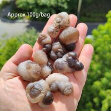 隨機自然水晶礦石樣本治療靈氣原石家居冥想裝飾能量石英庭院戶外裝飾紫水晶寶石 - random - 查看 12