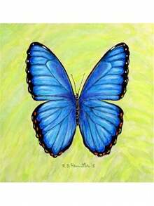 Betsy Drake DM348 Dicks Blue Morpho Door Mat, Small - Nhiều màu - Xem 1