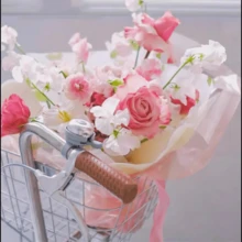 20 piezas Papel de vidrio de colores, papel transparente de OPP inoloro impermeable, papel de cristal de fantasía dulce, materiales de embalaje florales, papel de envoltura de flores frescas, adecuado para el embalaje de flores frescas, manualidades, Nochebuena, embalaje de rosas, Día del Padre, Día de la Madre, San Valentín, boda, aniversario, Navidad, Halloween, Acción de Gracias, temporada de graduación, envoltura de regalos - Multicolor - Ver 9