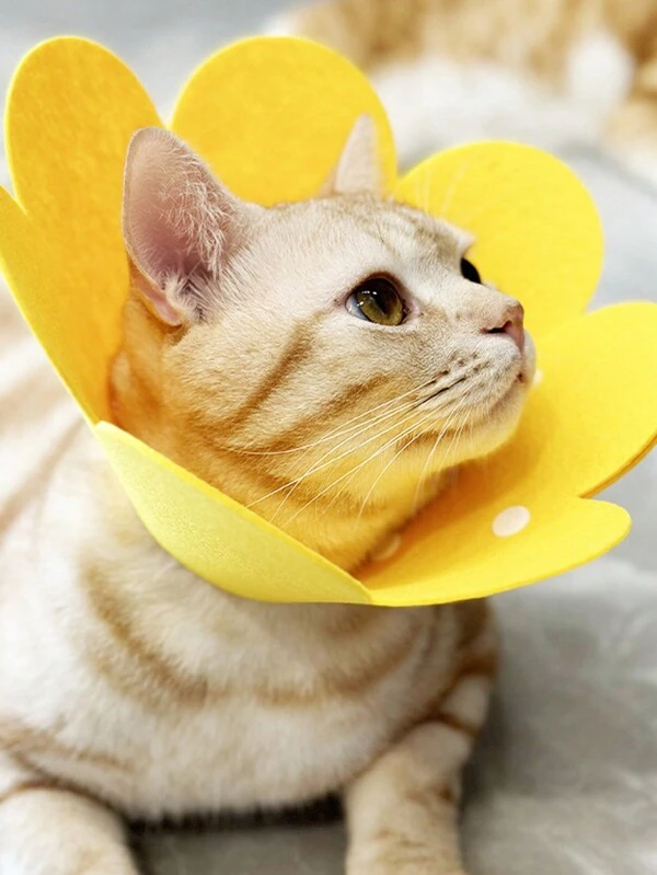 1個 調整可能な術後リカバリーエリザベスカラー、猫と犬用の軽量フェルトファネル型エリザベスカラー、術後の舐め防止