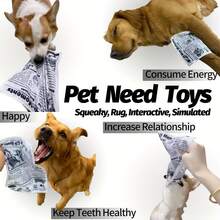 狗玩具吱吱作响报纸皱褶宠物狗咀嚼玩具，有趣互动拔河狗咀嚼宠物玩具，可洗耐咬宠物玩具，适用于小狗贵宾犬泰迪 - 彩色 - 查看 3