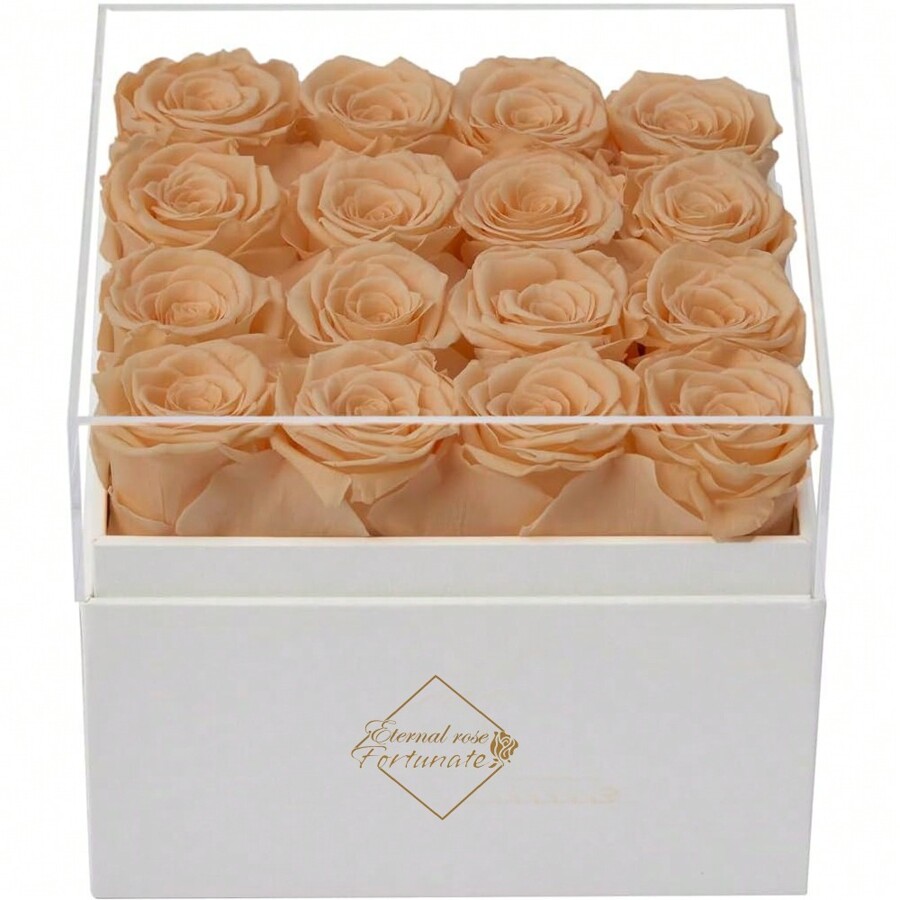 16 Stücke Konservierte Rosen in Acryl Box, konservierte Blumen für