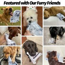 狗玩具吱吱作响报纸皱褶宠物狗咀嚼玩具，有趣互动拔河狗咀嚼宠物玩具，可洗耐咬宠物玩具，适用于小狗贵宾犬泰迪 - 彩色 - 查看 7