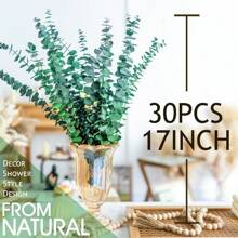 Tallos de eucalipto natural fresco para decoración de exteriores, 10 piezas -17 eucaliptos reales para colgar en la ducha, hojas de tallos de eucalipto reales para baño, spa, hogar, boda, arreglos florales, decoración de jarrones