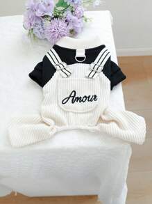 PETCIRCLE 1 件时尚围兜裤宠物衣服适合小型/中型犬和猫