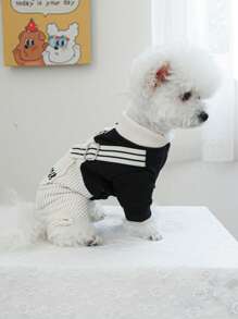 PETCIRCLE 1 件时尚围兜裤宠物衣服适合小型/中型犬和猫