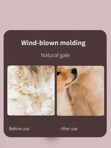 Travel Hair Dryer For Pet With 1 Concentrator Nozzle ,Compact Hair Dryer With Folding Handle, High-Speed Low Noise Thermo-Control Hairdryer For Pet, Travel Blow Dryer