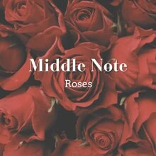 Carolina Herrera Perfume y Fragancias - Fresco - Ver 7