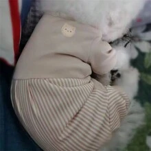 条纹拼布连帽狗狗连体衣，柔软舒适保暖刺绣服装，适合中小型犬，秋冬季 - 米色 - 查看 5