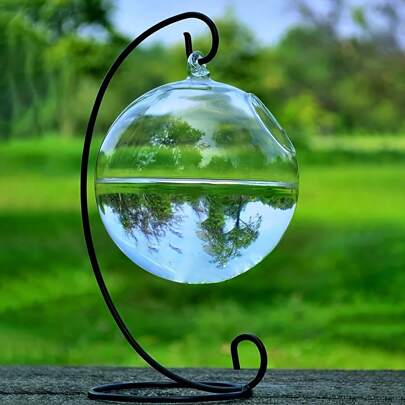 1 个圆柱形悬挂式玻璃容器，透明玻璃球，用于苔藓微景观，适合水生植物和鱼类