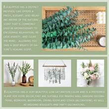 Tallos de eucalipto natural fresco para decoración de exteriores, 10 piezas -17 eucaliptos reales para colgar en la ducha, hojas de tallos de eucalipto reales para baño, spa, hogar, boda, arreglos florales, decoración de jarrones