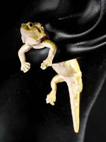 2 piezas Pendientes góticos 3D de dragón barbudo, pendientes de lagarto graciosos para mujeres en forma de tachuelas de oreja con joyas de regalo, pendientes de frente y trasero de rana y sapo - Pendientes divertidos - Ver 3