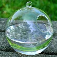1 个圆柱形悬挂式玻璃容器，透明玻璃球，用于苔藓微景观，适合水生植物和鱼类 - 無色 - 查看 2