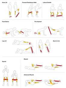 5 Pieces Set Sports Exercise Fitness Resistance Bands For Legs Waist Elastic Stretch Bands Latex Material - Multicolor - View 12