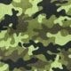 Leger groen