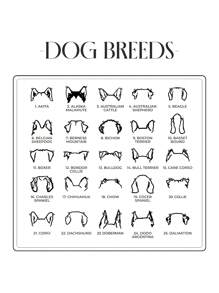 50 Styles Of Cute Dog Ear Necklaces With English Names, Suitable For Dog Owning Families And Pet Lovers. Made Of Stainless Steel Material, This Necklace Is Classic And Elegant,
