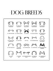 50 Styles Of Cute Dog Ear Necklaces With English Names, Suitable For Dog Owning Families And Pet Lovers. Made Of Stainless Steel Material, This Necklace Is Classic And Elegant,