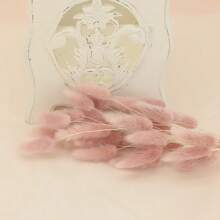 30 piezas, 90 piezas Flores secas natural de rabo de conejo para decoración del hogar elegante bohemia, decoración de otoño, bodas, arreglos florales y manualidades DIY