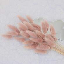 30 piezas, 90 piezas Flores secas natural de rabo de conejo para decoración del hogar elegante bohemia, decoración de otoño, bodas, arreglos florales y manualidades DIY