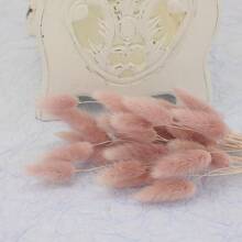 30 piezas, 90 piezas Flores secas natural de rabo de conejo para decoración del hogar elegante bohemia, decoración de otoño, bodas, arreglos florales y manualidades DIY