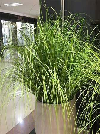 55厘米人造植物假洋葱草花束高芦苇叶绿色PVC狐尾草仿真蒲苇适用于家庭婚礼派对装饰、情人节、生日毕业礼物、花园装饰、户外植物、园艺、假花、秋季装饰、秋季