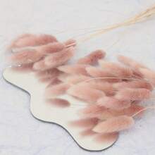 30 piezas, 90 piezas Flores secas natural de rabo de conejo para decoración del hogar elegante bohemia, decoración de otoño, bodas, arreglos florales y manualidades DIY