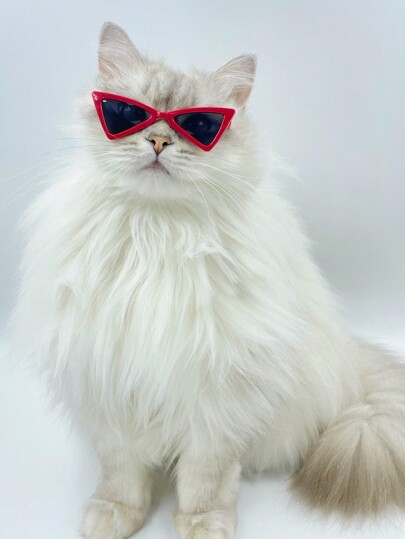 1 Pc Pet Large Triangular Sunglasses - Fashionable , Resin Material, Exclusive For Cats & Dogs; Unique Design Style, Cute Pet Pattern, Triangle Shape, Sun Protection Function, Must-Have Pet Glasses; Suitable For Summer, Outdoor, Photography, Celebration Events