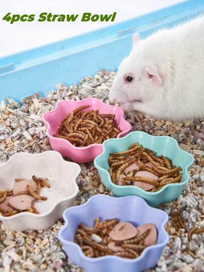 4入組餐/食物碗套裝,適用於倉鼠、小型動物、鳥類,麥畚纖維不易碎、輕盈的碗套裝