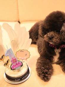 1 chiếc nến kỹ thuật số sáng tạo trang trí bánh sinh nhật nến kỹ thuật số hoa hồng thích hợp cho bánh sinh nhật, kỷ niệm, ngày kỷ niệm, ngày lễ tình nhân trở lại trường - Nhiều màu - Xem 10