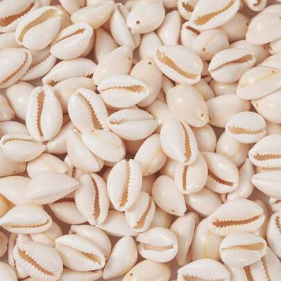 30/50/100g Hạt vỏ ốc xoắn ốc tự nhiên màu trắng Vỏ sò biển Vỏ sò Cowrie Bùa và hạt có lỗ cho mùa hè Phụ kiện làm đồ trang sức thủ công DIY