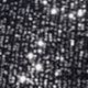 Silver Sequins