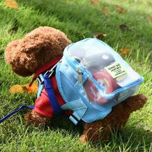 1入寵物攜帶背包，可愛泰迪貓戶外旅行背包，方便肩袋式小型犬背包，帶有網眼