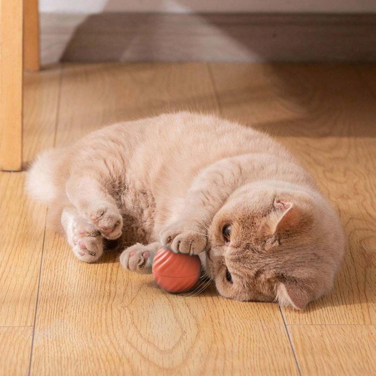 Intelligent Jumping Ball, Electric Charging Cat And Dog Toy, Self
