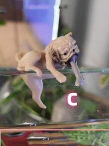 1 件装水族箱景观装饰，圆形鱼缸边缘装饰，新款卡通狗公仔日式休闲创意鱼缸边缘装饰