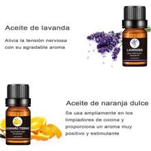 Aceites de difusor de caña y aromaterapia líquida, perfume - 6 unidades - Ver 5