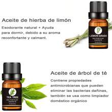 Aceites de difusor de caña y aromaterapia líquida, perfume - 6 unidades - Ver 6