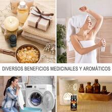 Aceites de difusor de caña y aromaterapia líquida, perfume - 6 unidades - Ver 7