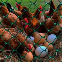 Multipurpose Screen 13mm 1m X 5m Chicken Nursery Pinteiro - màu đen - Xem 5