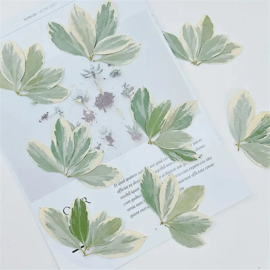 YouthBro 135-teiliges Set Gepresste Weiße Blumen & Schmetterlings-Aufkleber – Für Harz, DIY, Schmuck, Deko