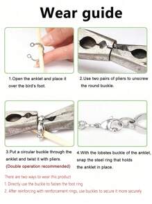 1set Stainless Steel Parrot Bird Harness & Leash, All Seasons - White - View 8