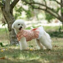 狗狗裙子，夏季清新泡泡裙：舒适透气可爱公主裙，小型犬 - 粉色 - 查看 9