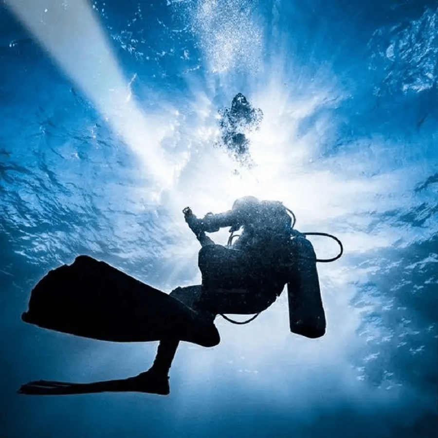 Plongée Sous-Marine Homard Bâton Pointeur Shaker Sous-Marin Bruit Fabricant De Bruit Sous-Marin