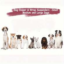 Suspensorios de pañales ajustables para mascotas para evitar que se caigan, fáciles de usar y sin oxidarse al contactar con el agua - Multicolor - Ver 4
