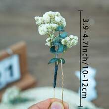 3-10 Pieces Baby's Breath Hair Pin, Gypsophila Hair Pin, Baby's Breath Bridal Hair Pin, Bridal Hair Accessories, Dried Flower Hair Pins - Multicolor - View 5